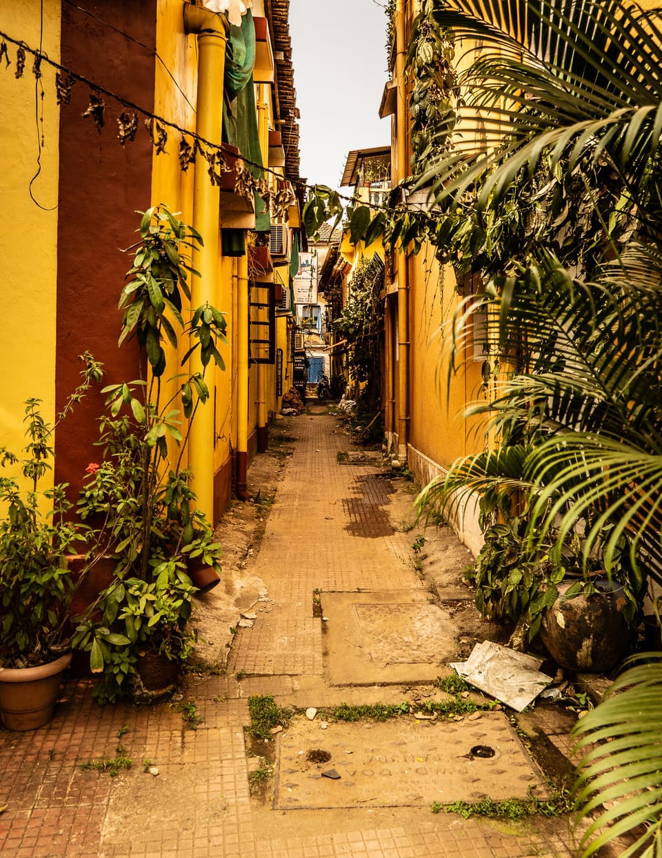 Street photograph by Stalin Pereira